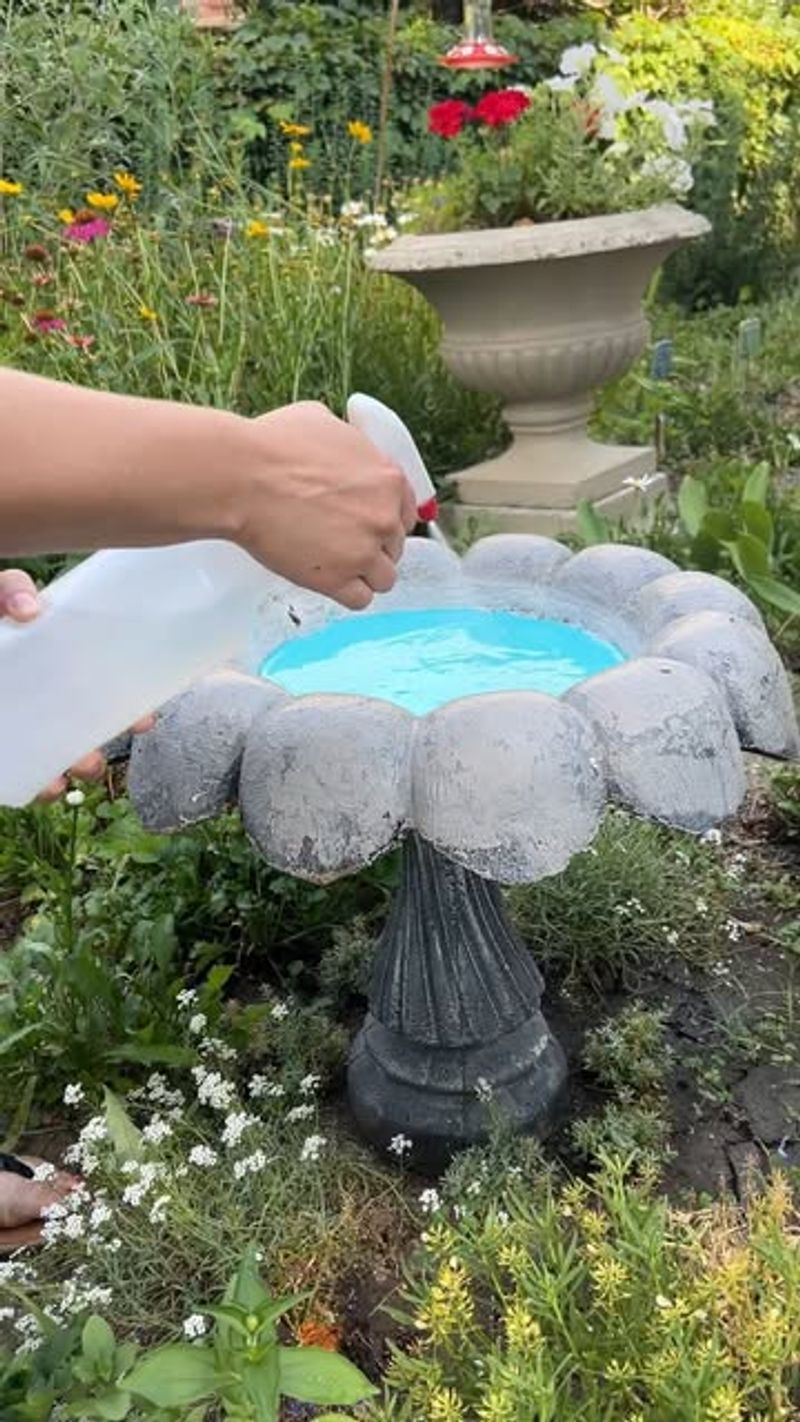 Forgetting To Change The Water