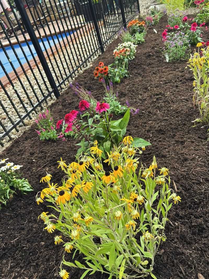 Apply Protective Mulch