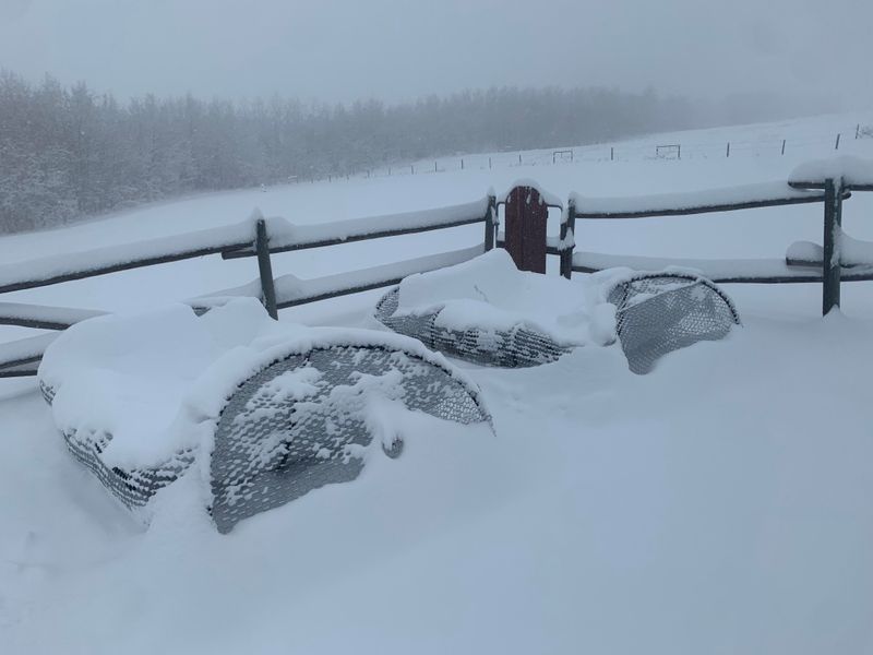 Install Snow Fencing