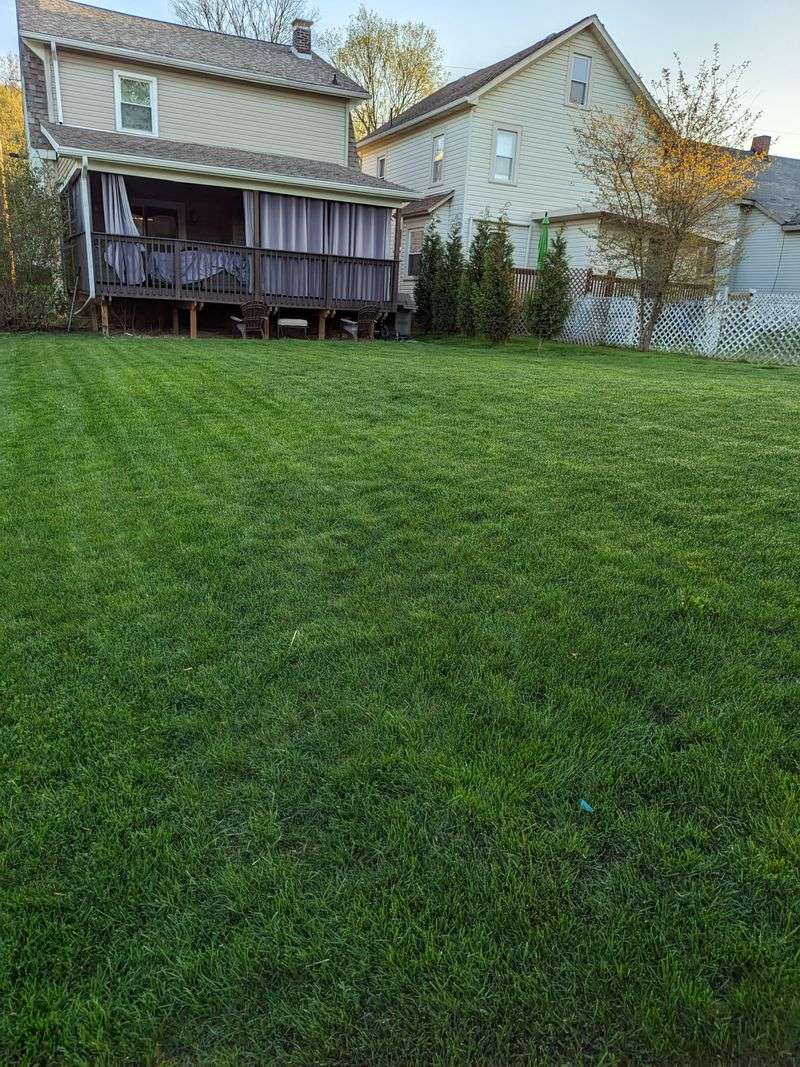 Fertilizing With Heavy Nitrogen