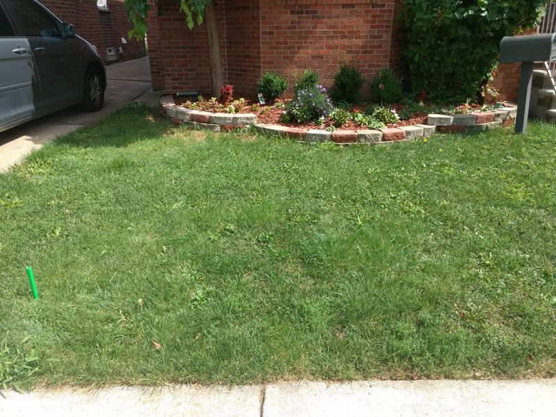 Applying Spring Fertilizer Formulas In August