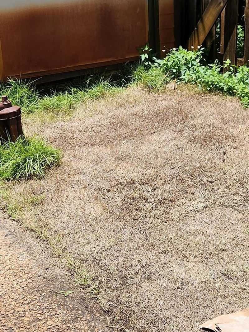 Over-Fertilizing When Stressed