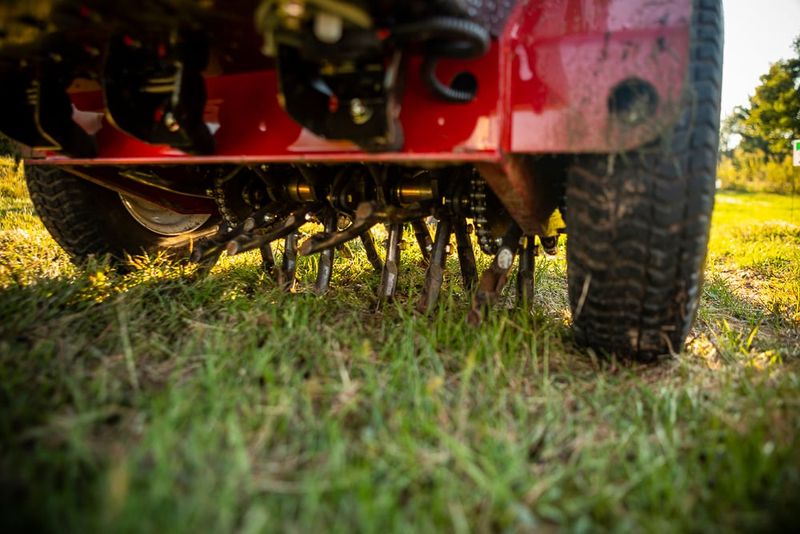 Forgetting to Aerate Compacted Soil