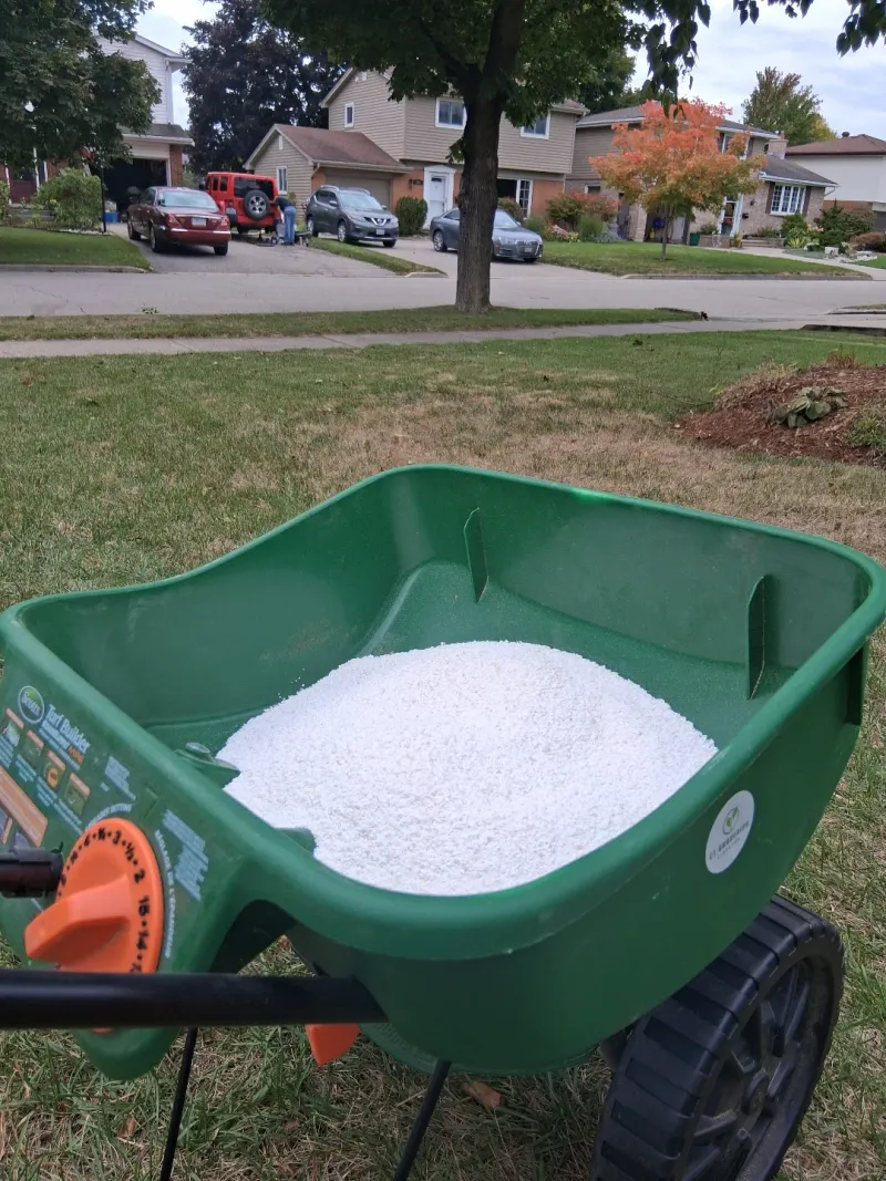 Fertilizing During Drought