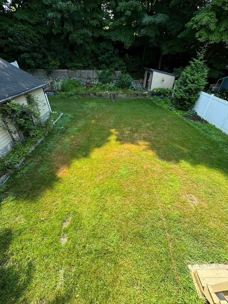 Fertilizing Incorrectly