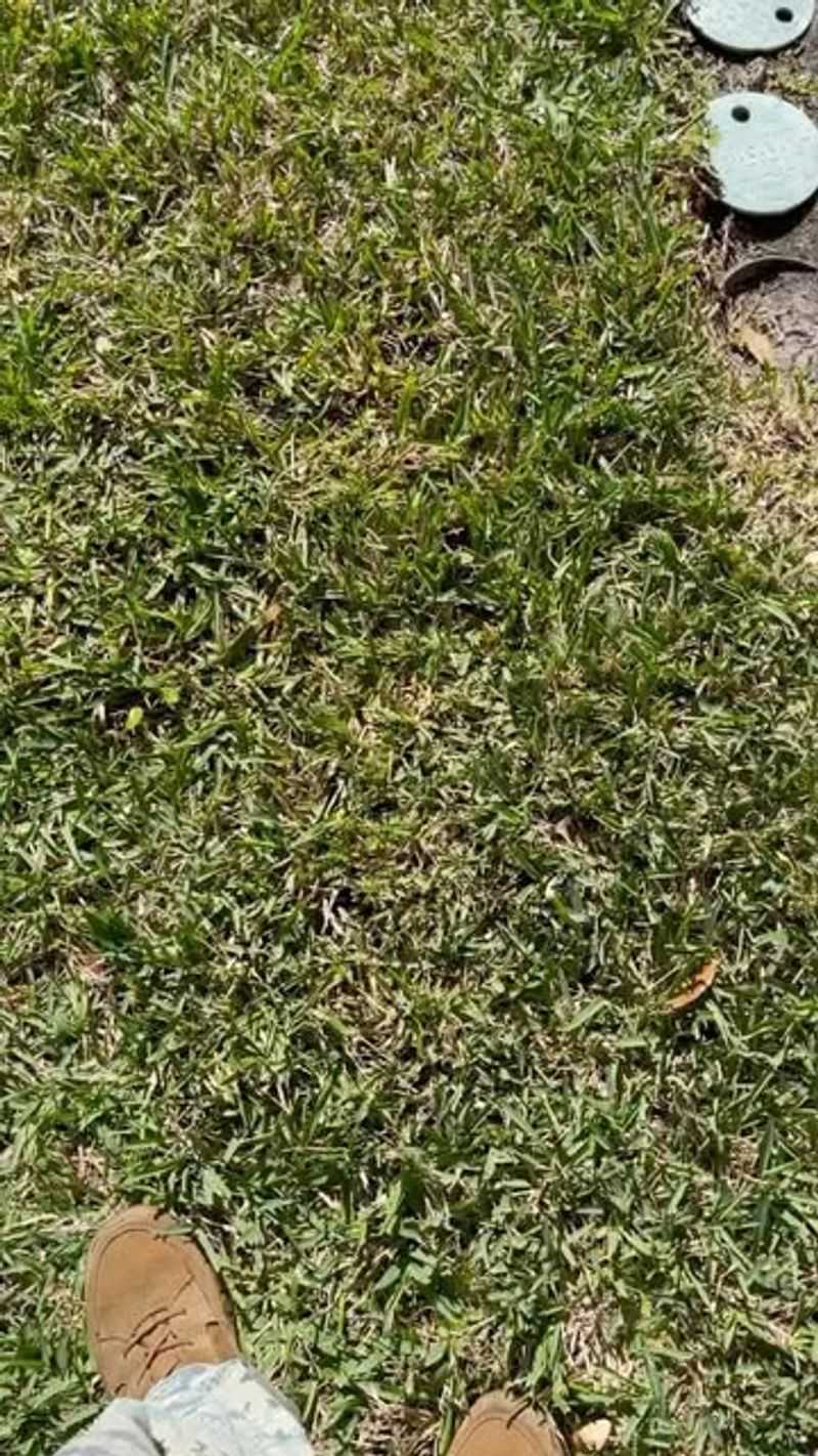 Neglecting Soil Testing