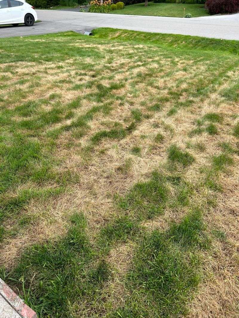 Fertilizing Improperly