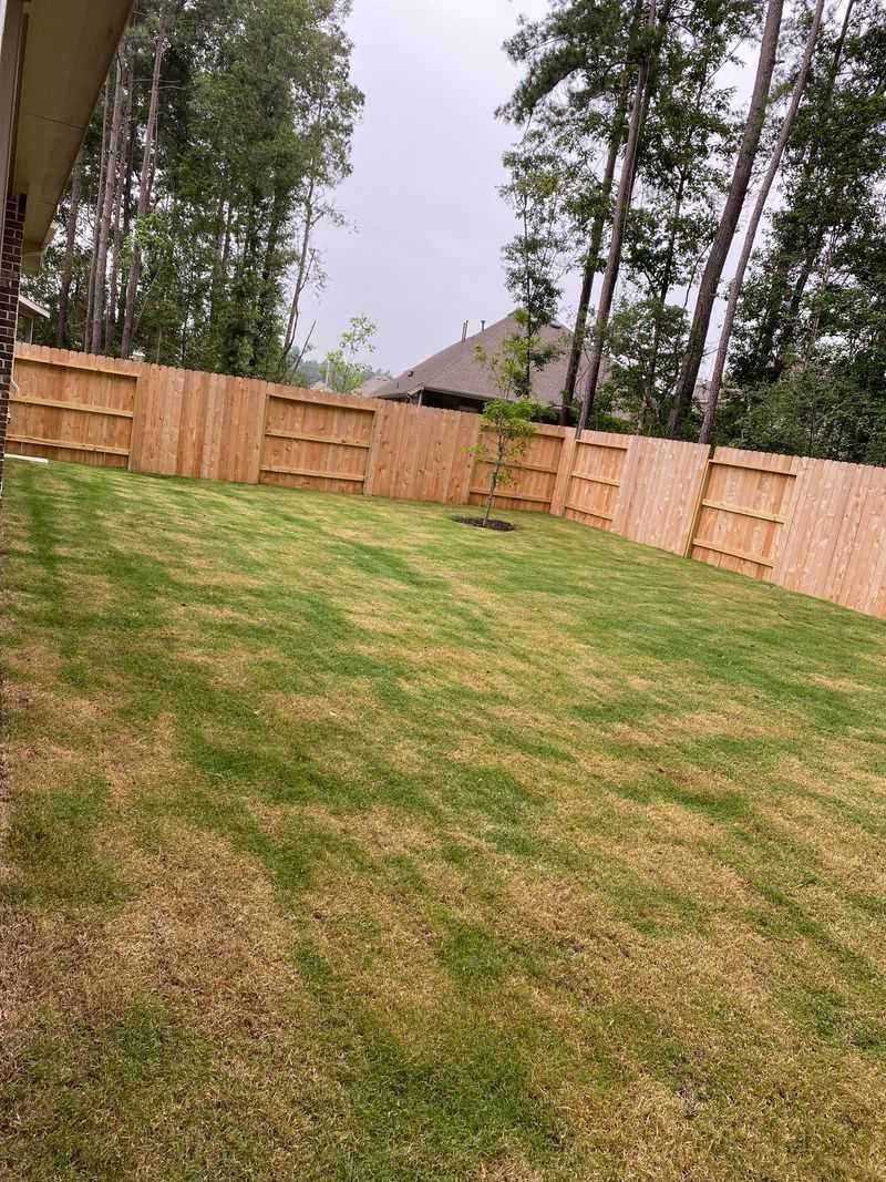 Fertilizing During Heat Waves