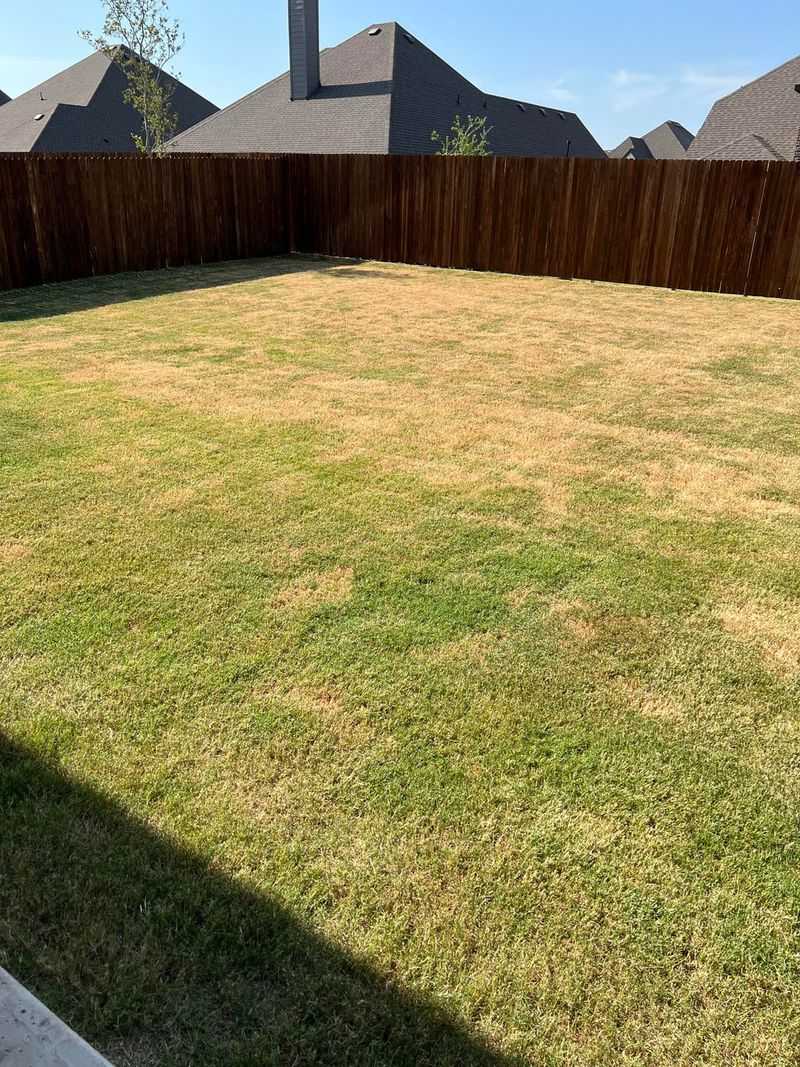 Mowing Too Short