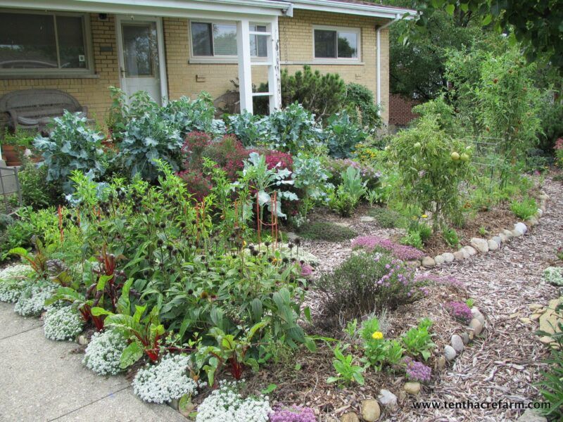 Front Yard Edible Landscapes Replace Traditional Lawns