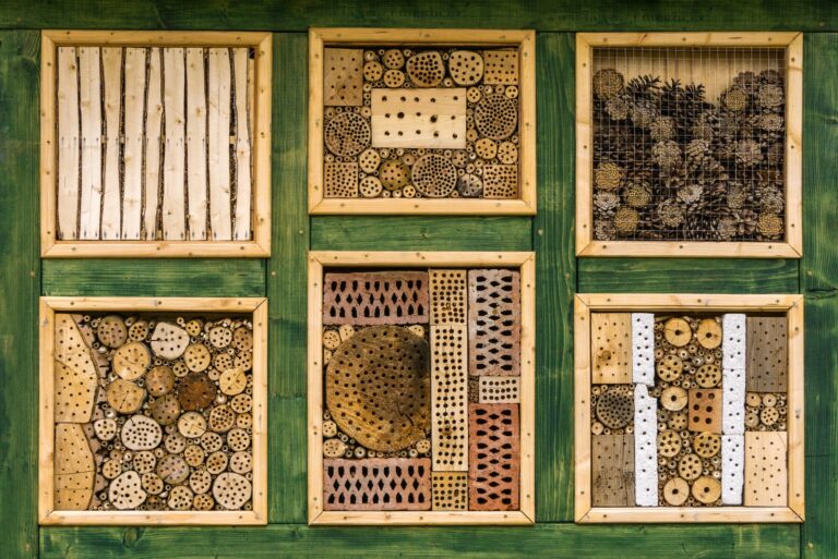 bee hotels