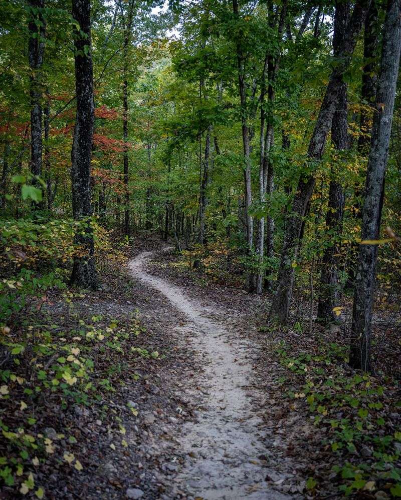 Coldwater Mountain Bike Trail