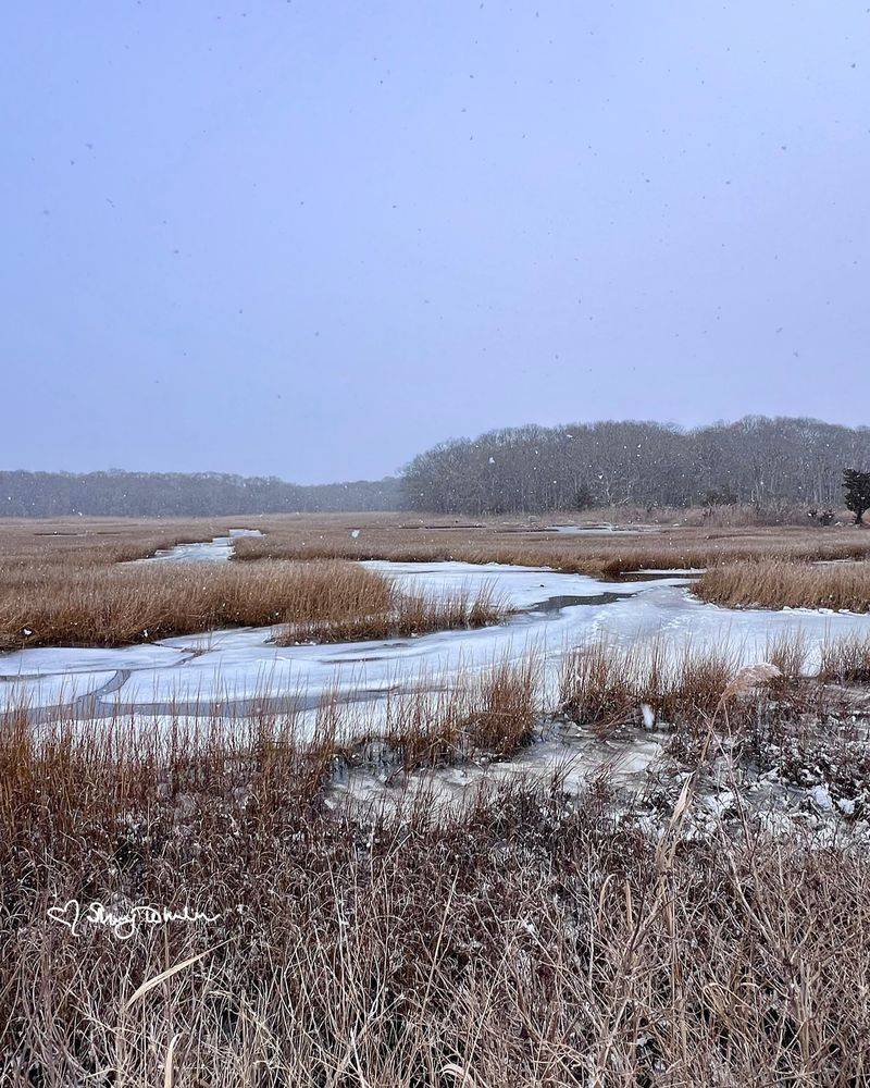 Barn Island's Secret Salt Marshes