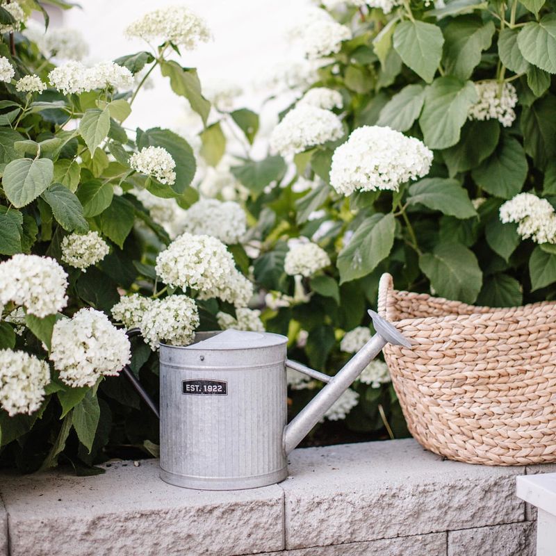 Deep Watering For Winter Survival