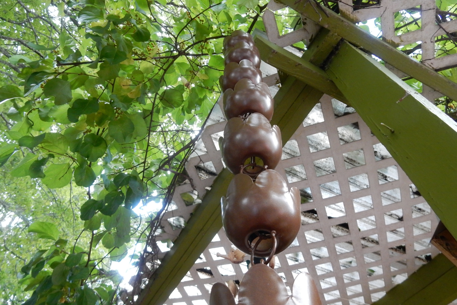 What To Know Before Adding A Rain Chain To Your Garden In Florida