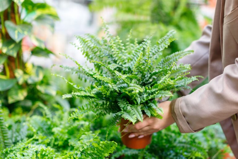 woman holds potted fern