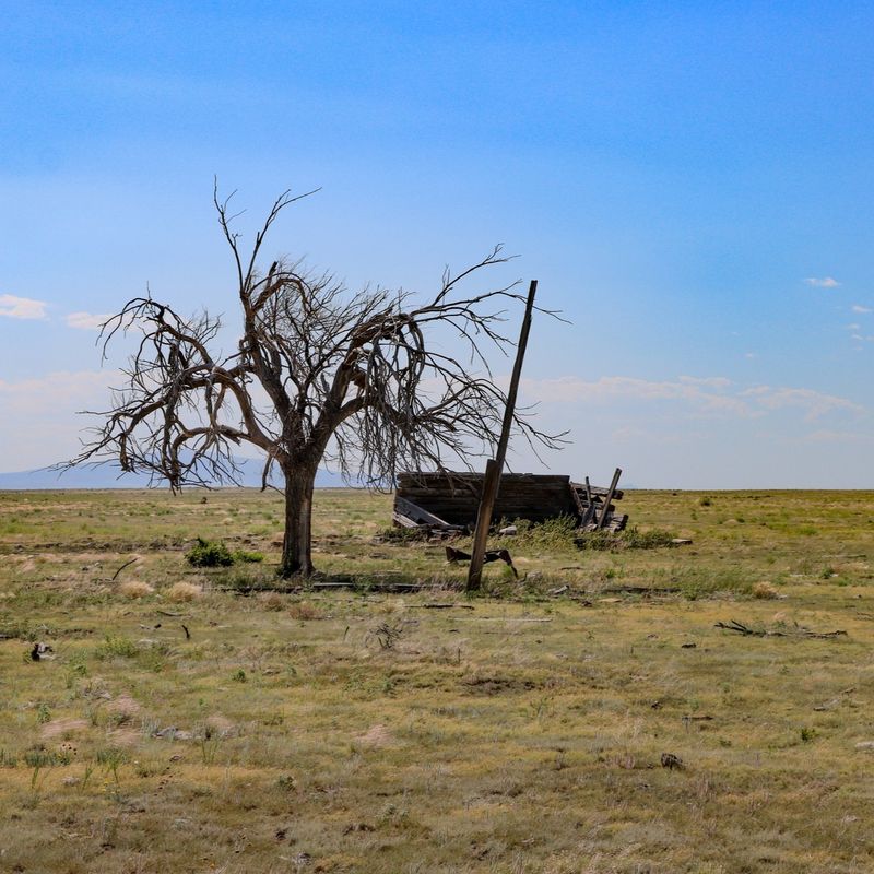 Corrales Bosque Preserve