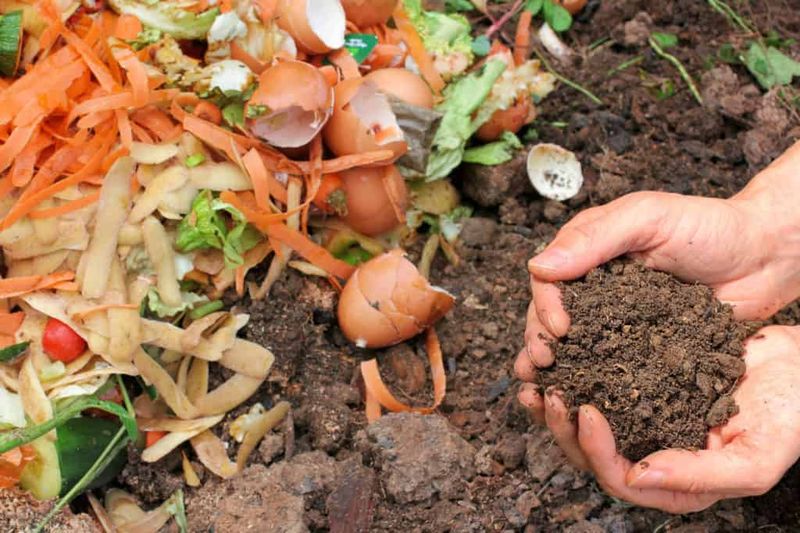 Compost Everything (Almost)
