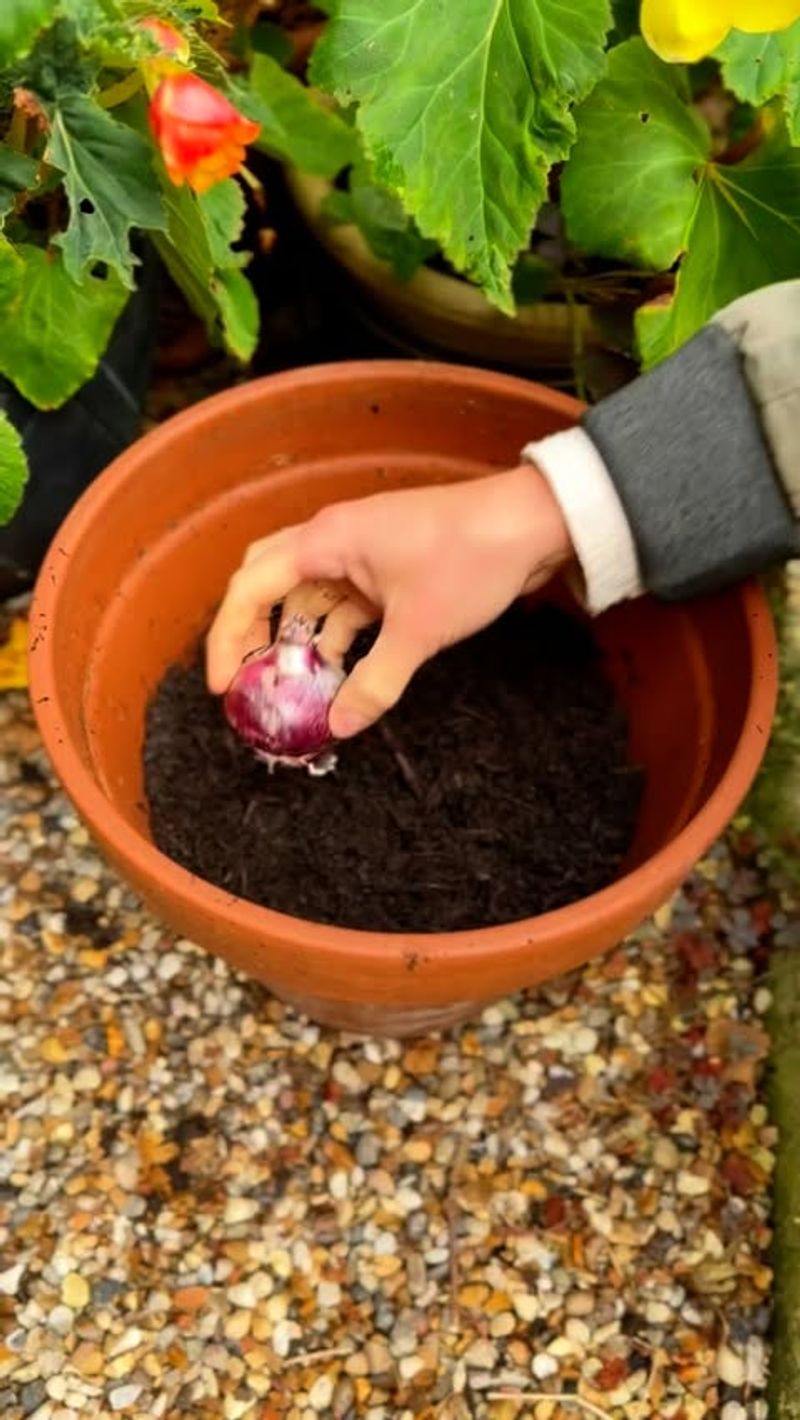 Jump-Starting Germination
