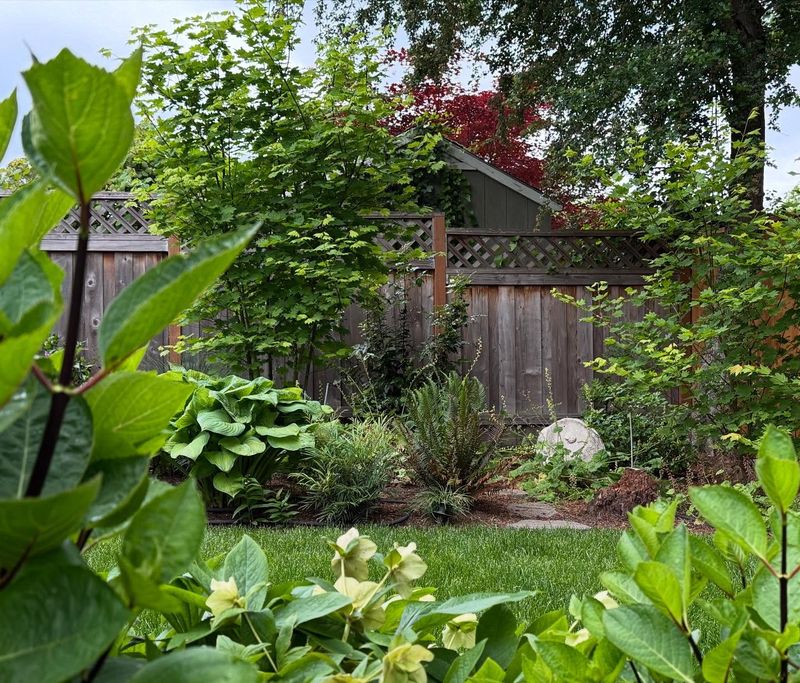 Tuck Your Perennials In For Winter