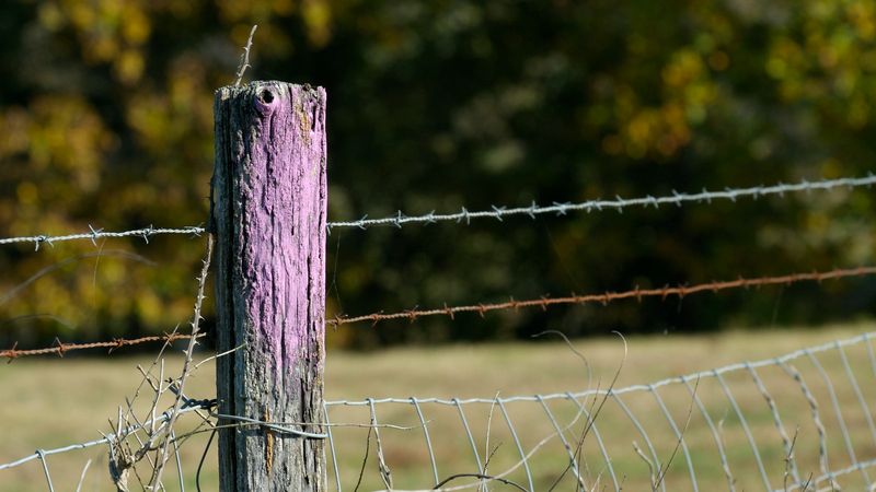 Hunting Restriction Indicators