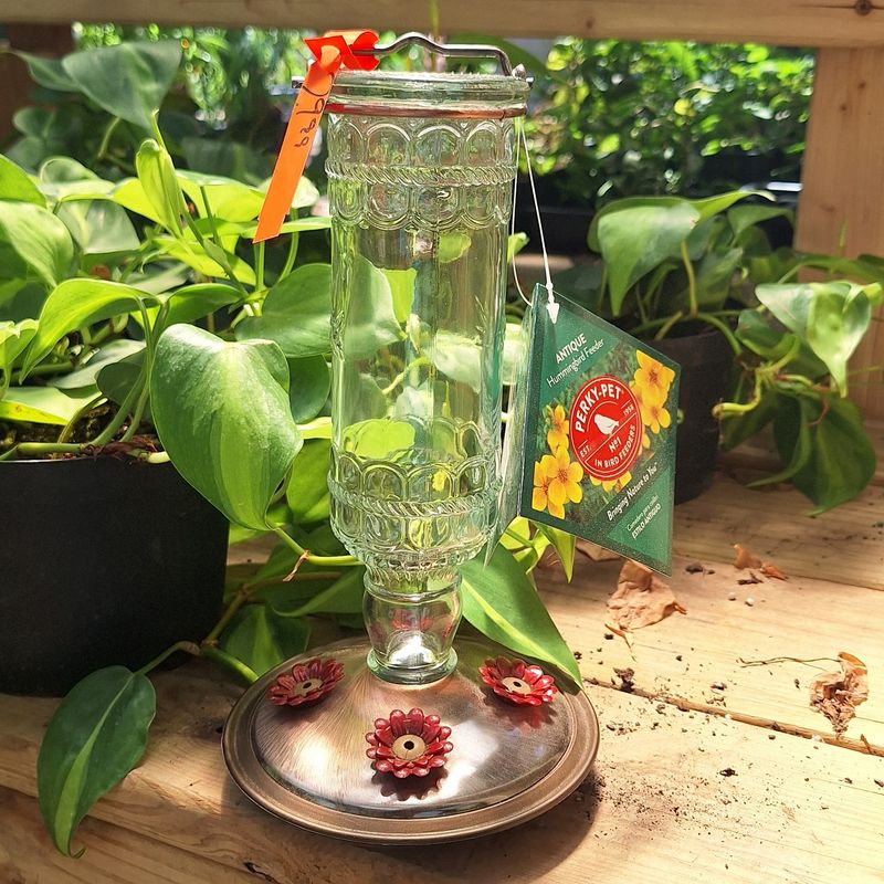 Bottle Base Succulent Planter Feeder
