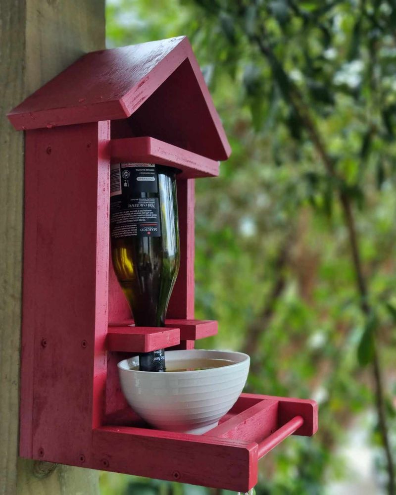 Bottle Bottom Water Dish