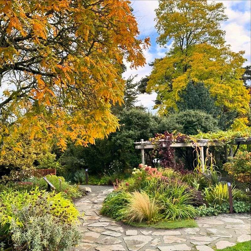 Bellevue Botanical Garden Japanese Section: Eastside Elegance