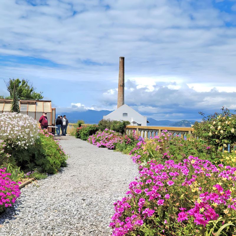 Alcatraz Gardens
