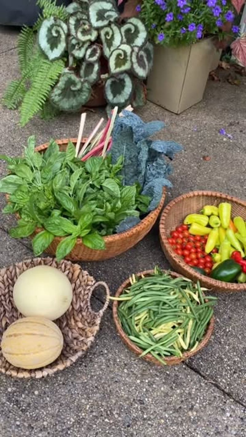2. Freezing Vegetables At Peak Ripeness