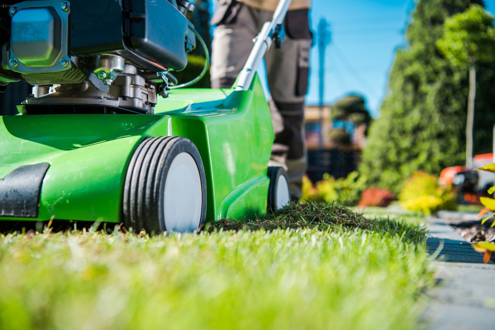 10 Common Fall Lawn Mistakes Wrecking Iowa Yards