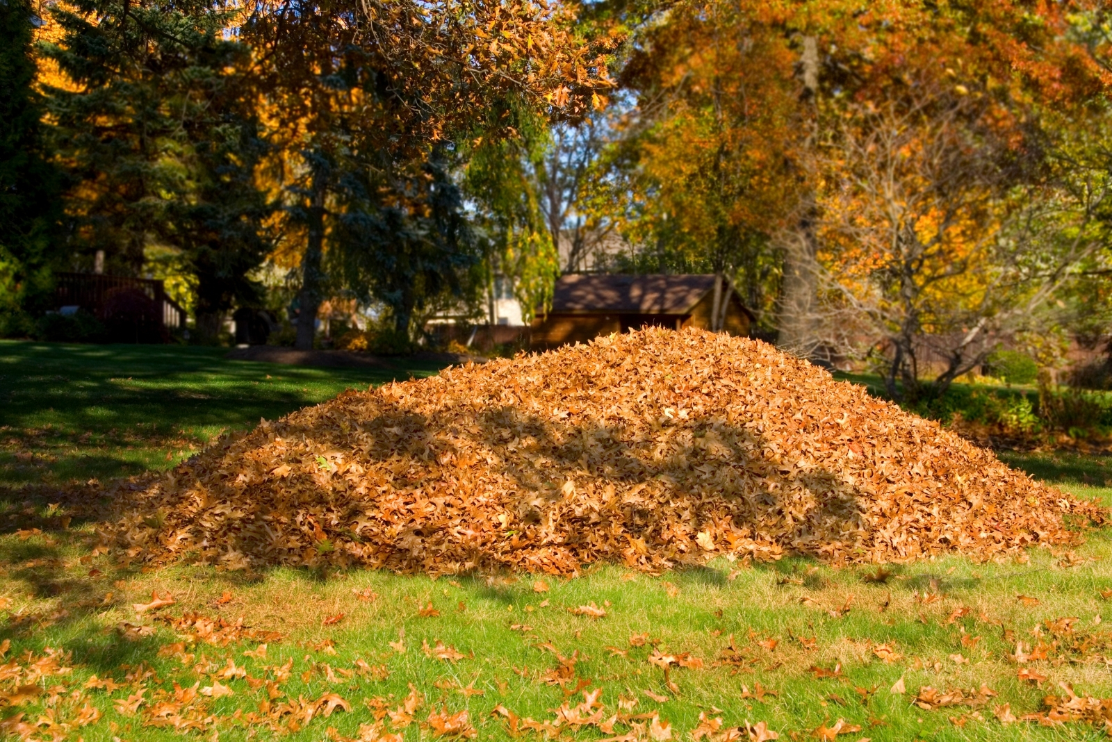 10 Common Lawn Mistakes That Harm Connecticut Yards In Fall