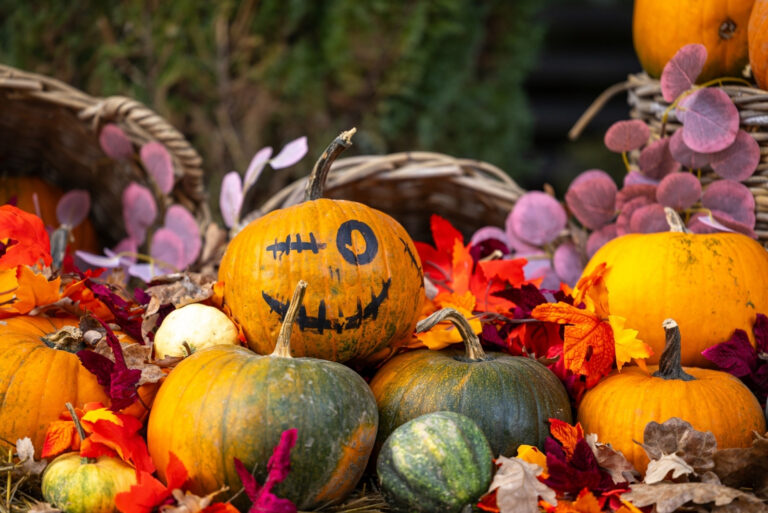 pumpkin decor (featured image)