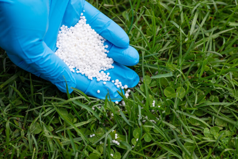 fertilizing lawn (featured image)