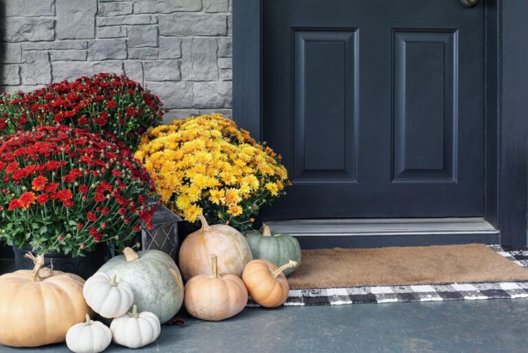 pumpkins with colorful mums sitting by front door