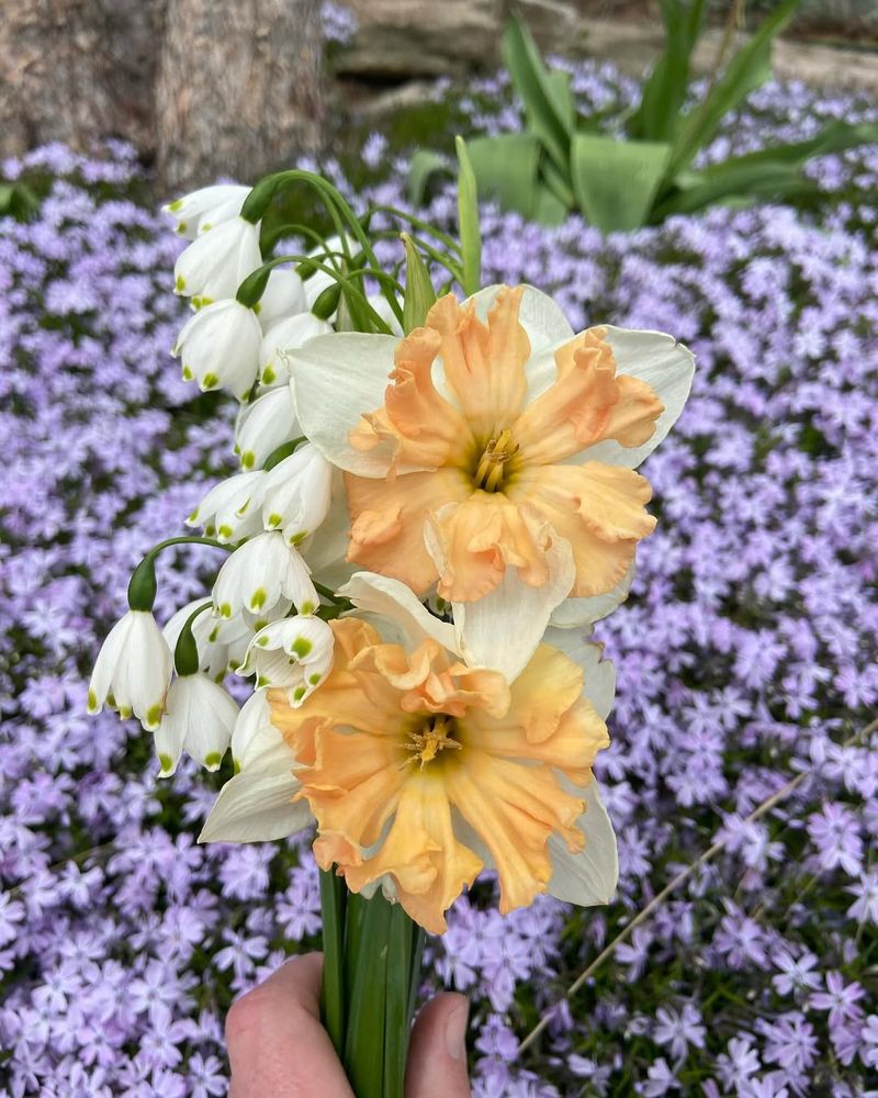 Plant Gopher-Repelling Flowers and Herbs