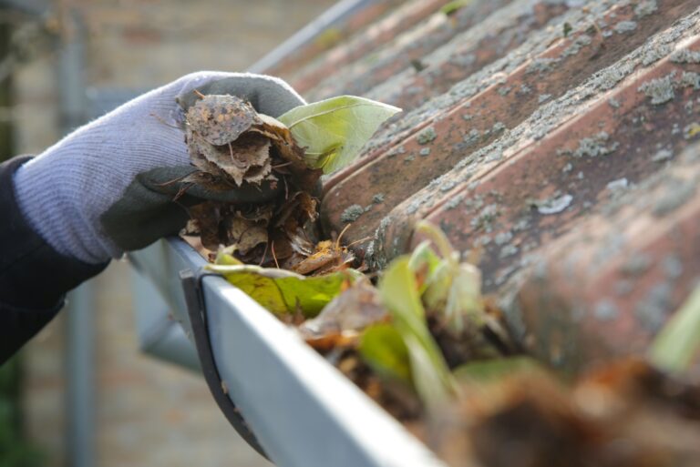 Cleaning the gutter from autumn leaves