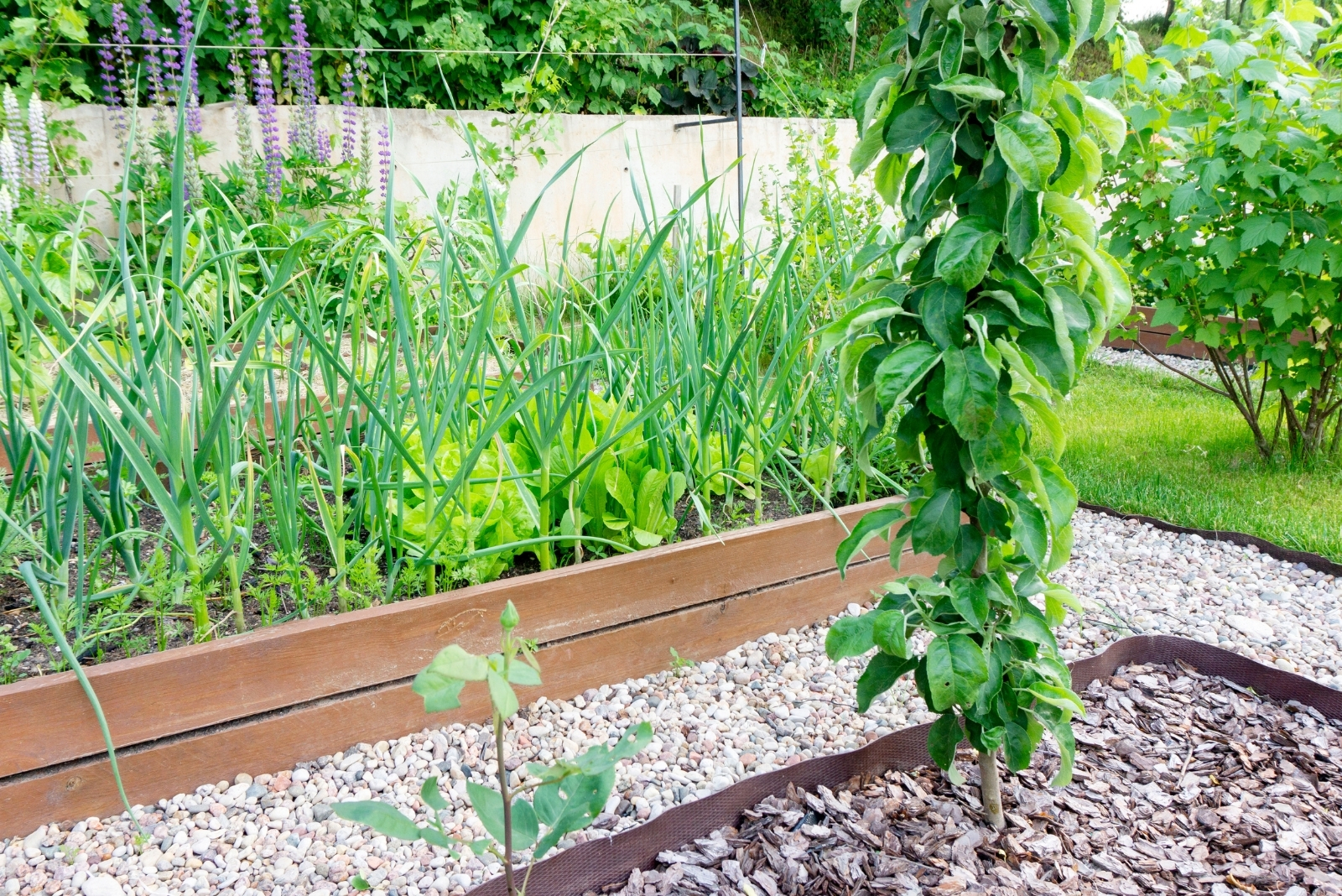 10 Easy Ways To Keep Garden Beds Weed-Free In Ohio