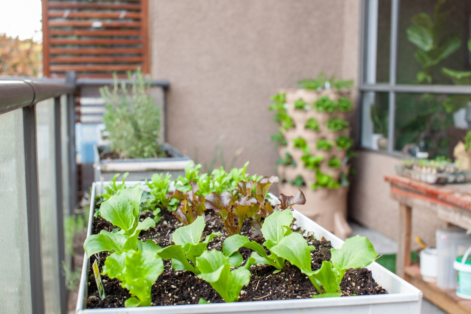 10 Essential Garden Navigation Tips For New York Gardeners
