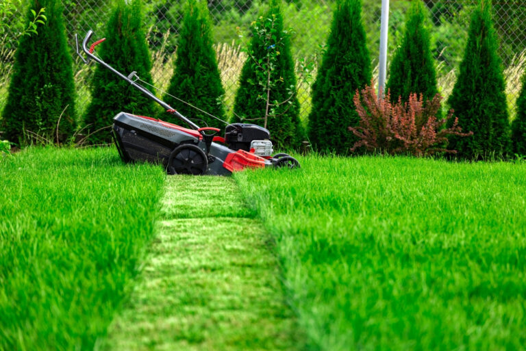 mowing lawn (featured image)