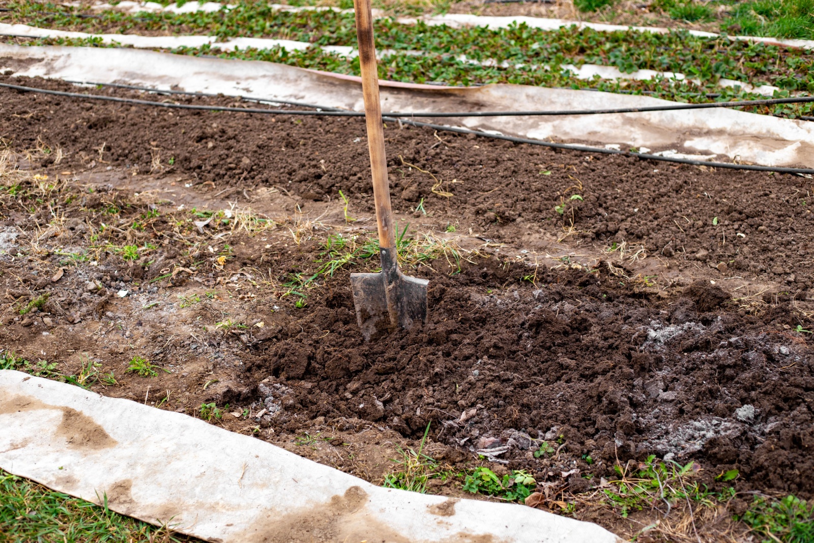 Digging up the soil in the garden