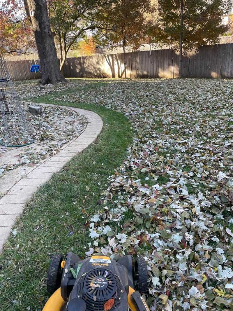 Stopping Your Mowing Routine Too Early