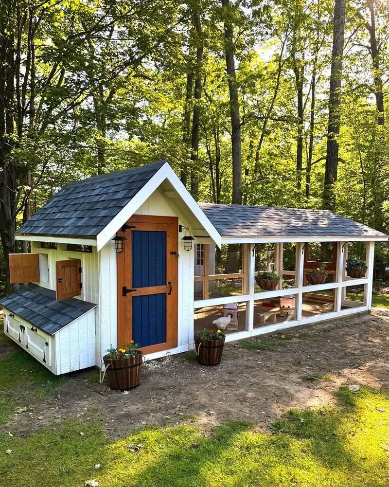 Backyard Chickens And Poultry Coops