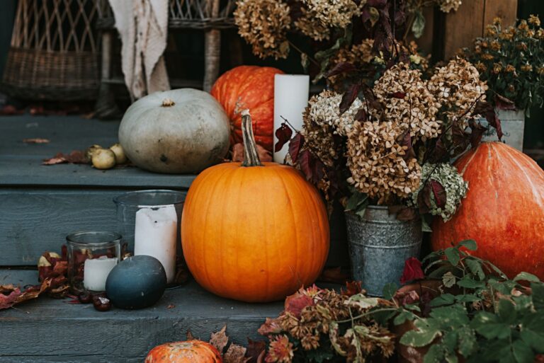 porch of the backyard decorated with pumpkins in autumn