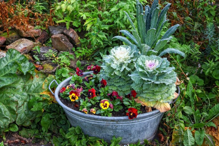 fall planters (featured image)