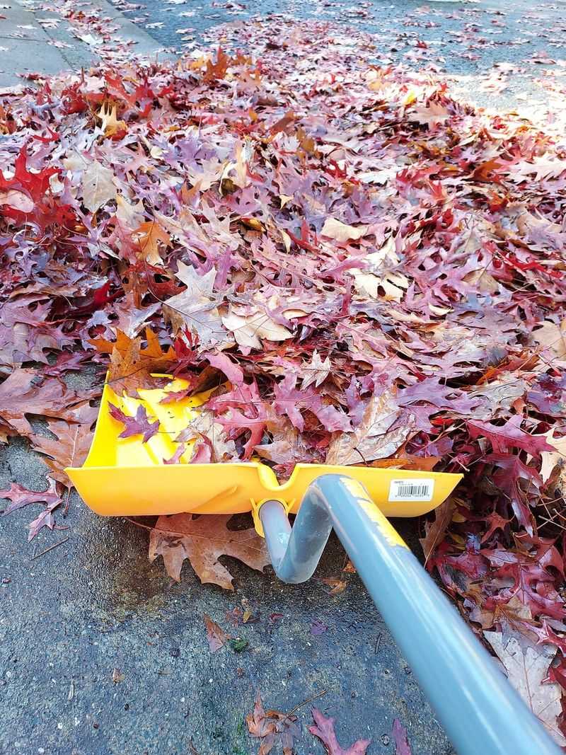 Rake and Mulch Fallen Leaves