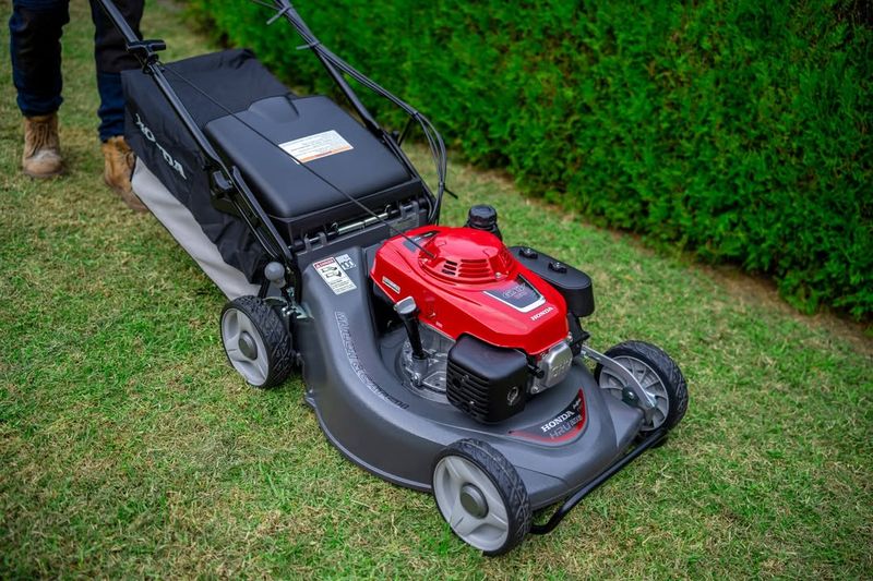 Cutting Grass Too Short