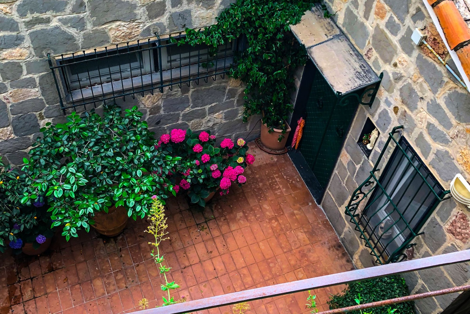10 Narrow Garden Designs That Turn Small Spaces Into Green Retreats In California
