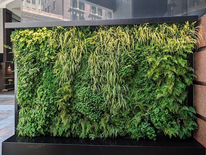 Vertical Wall Gardens With Native Plants