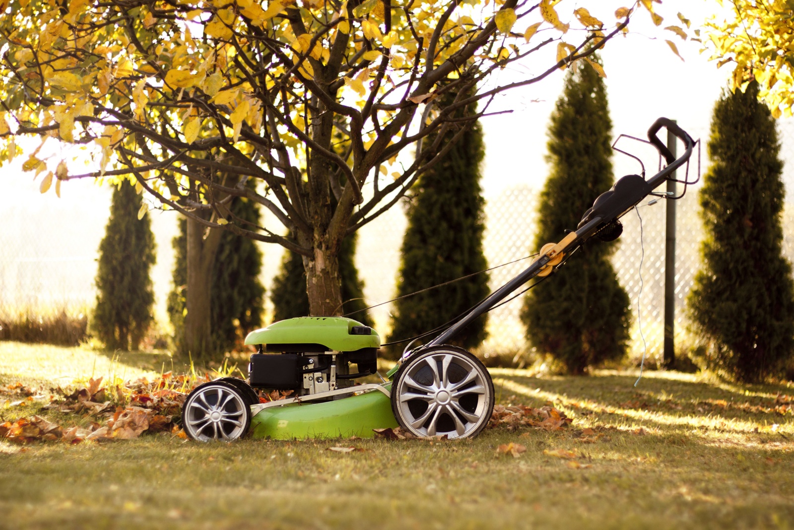 10 November Mowing Tips Texas Homeowners Need To Follow